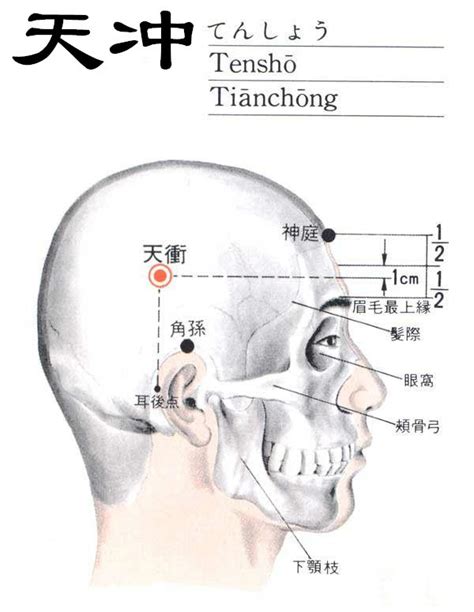 氣沖穴|氣沖穴:定位,解剖,主治,配伍,刺灸法,附註,氣血特徵,